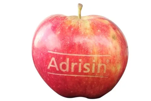 Manzana roja con una marca grabada con láser sobre la cáscara